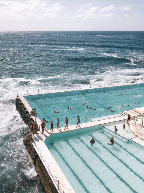 Bondi Icebergs