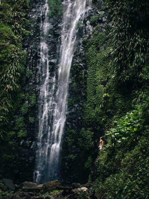 Waterfall in a Tropical Rainforest in Queensland